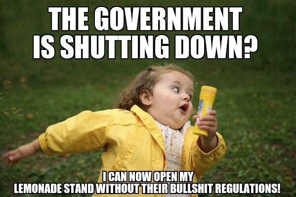 Government shutting down good for lemonade stands