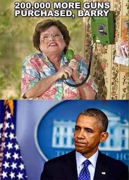 Guns Obama salesman