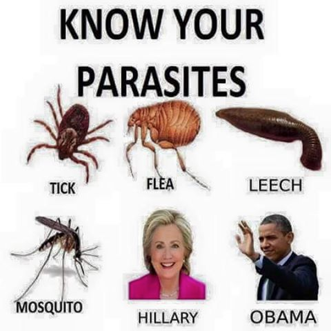 Hillary Obama Parasites Politicians