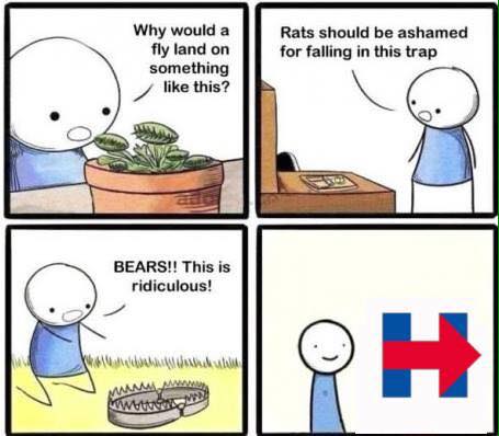 Hillary stupid liberals vote for her