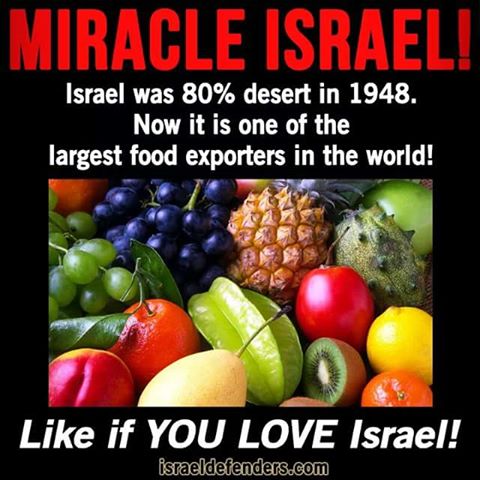 Israel exports food from a desert