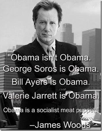 Obama a socialist sock puppet James Wood