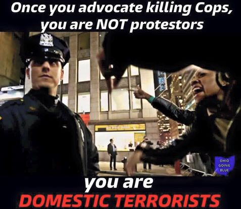 Police killers terrorists