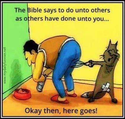 Silly cat do unto others