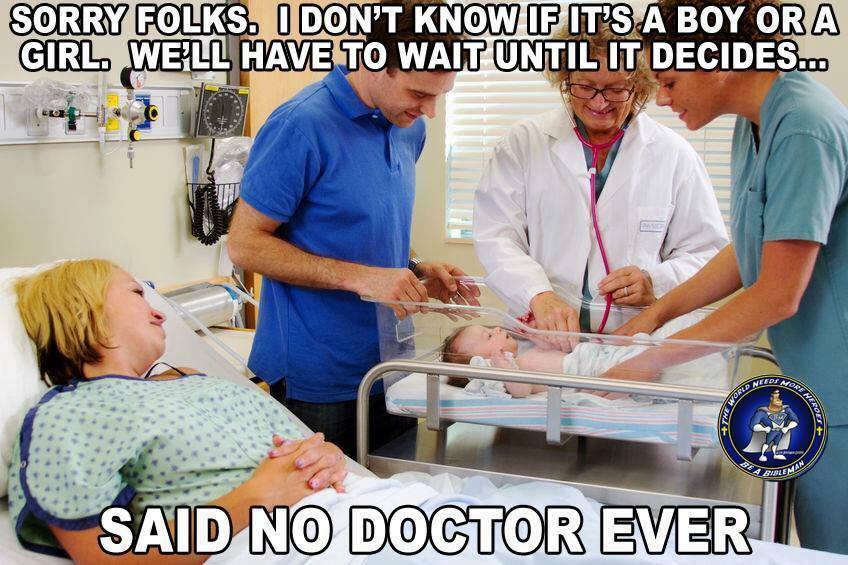 Stupid Liberals gender identity