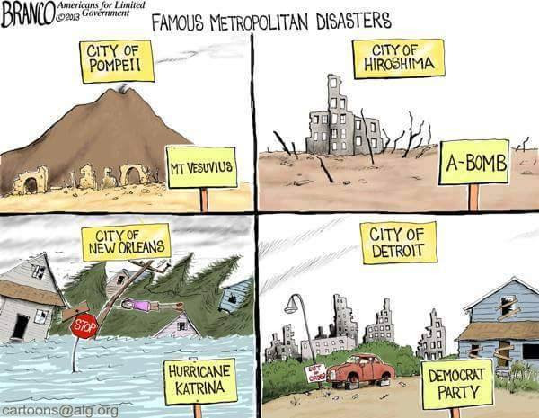 Stupid liberals Detroit Democrat Party