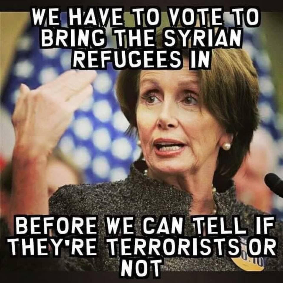 Stupid liberals Syrian refugees Pelosi joke