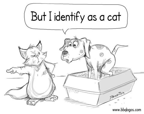 Stupid liberals dog identifies as a cat