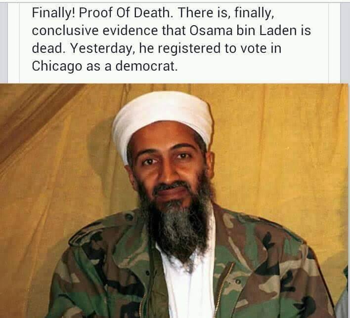 Stupid liberals voter fraud bin laden