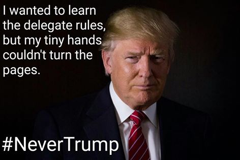Trump delegate rules