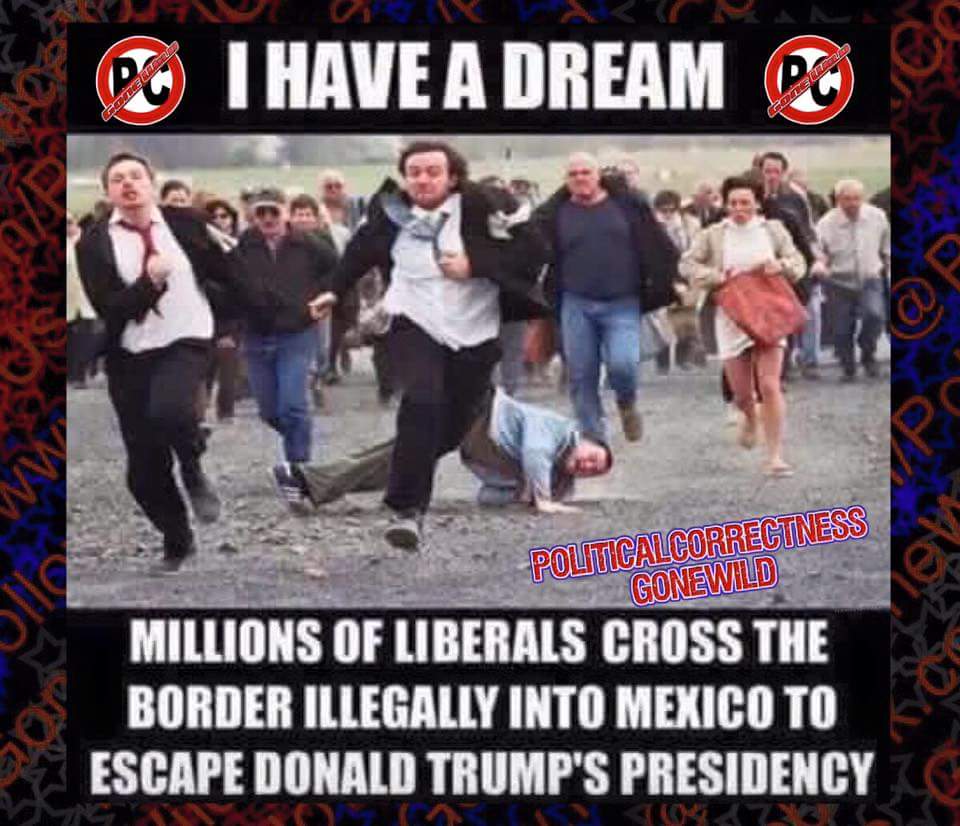 Trump liberals self exile