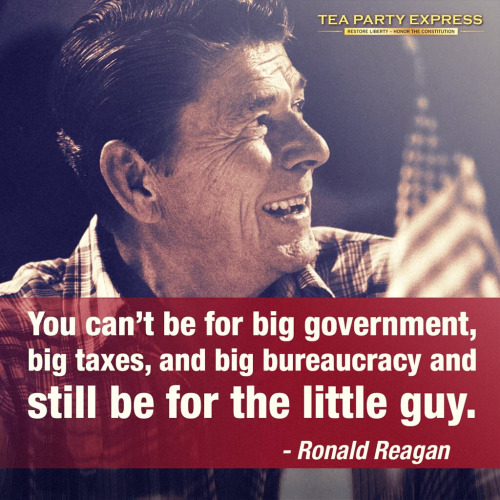 Wisdom Government Reagan Bureaucracy