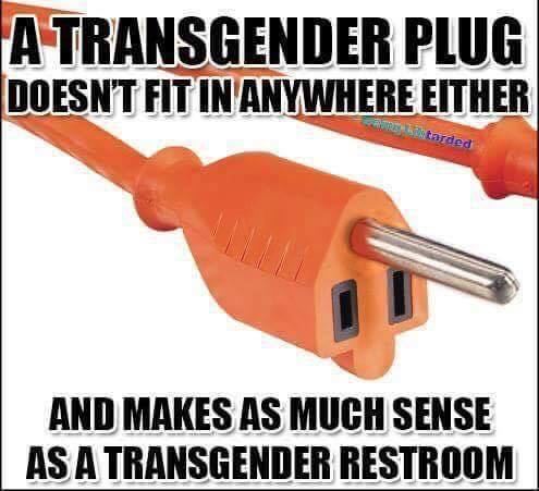 Bathroom gender plug