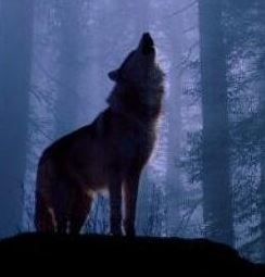 Howling Wolf