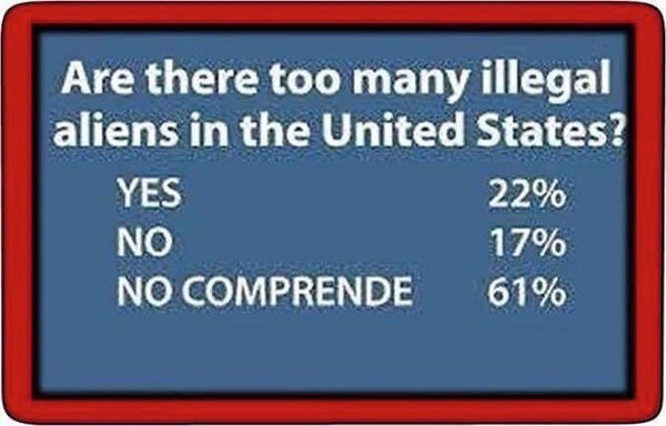 Immigration too many illegals