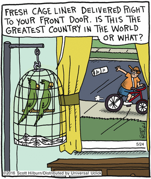 Silly parrots attack media