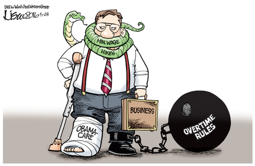 Stupid liberals destroying business