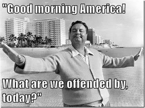 Stupid liberals taking offense