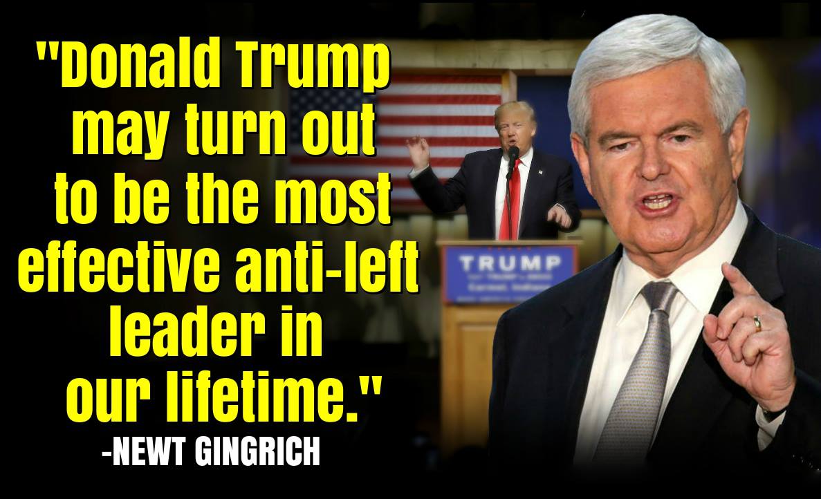 Trump support from Newt Gingrich