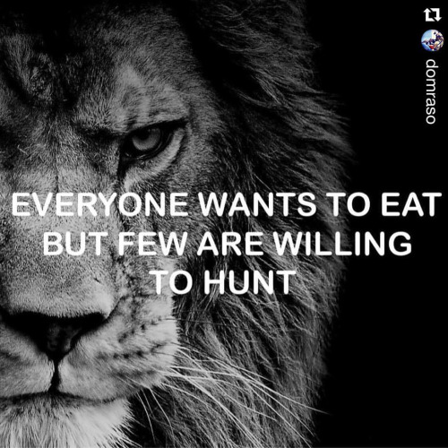 Wisdom all want to eat few hunt