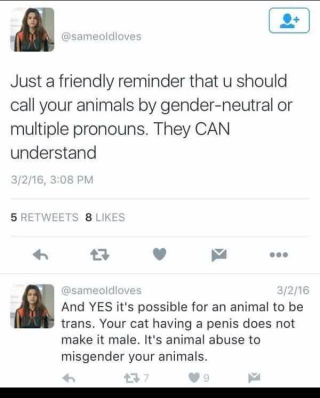 Gender animal abuse to misgender animals