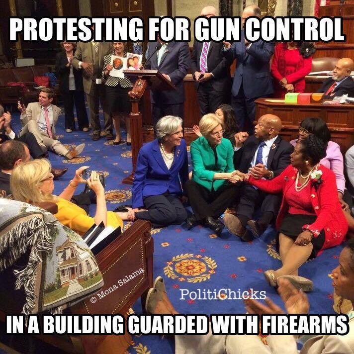 Gun control Leftist hypocrisy