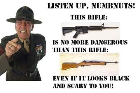 Guns AR15 just a black rifle