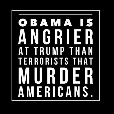 Obama-angry-at-Trump-not-terrorists