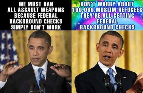Obama federal background checks