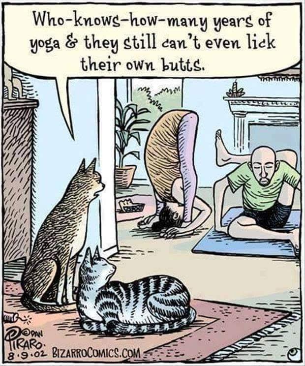 Silly yoga joke