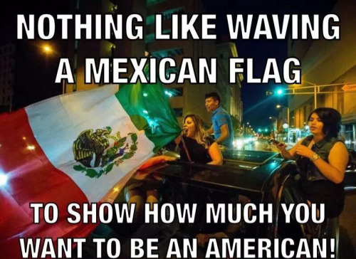 Stupid Leftists Mexican flag