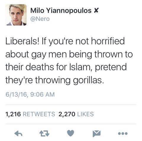 Stupid leftists gay men gorillas