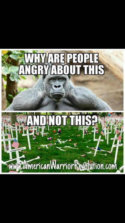 Stupid leftists gorillas matter no one else does