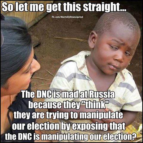 Democrats manipulating election