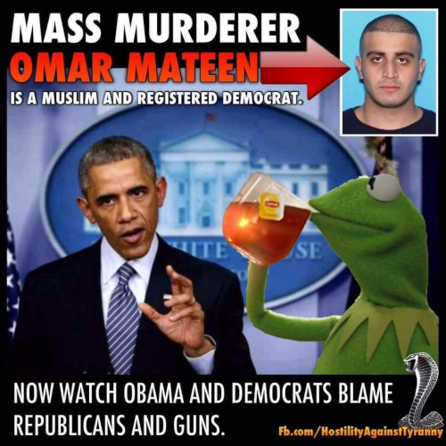 Guns Mateen democrat Muslim Republicans and NRA blamed