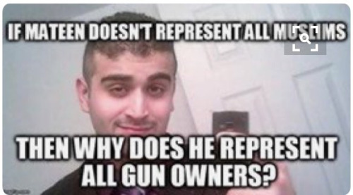 Guns Omar Mateen representative