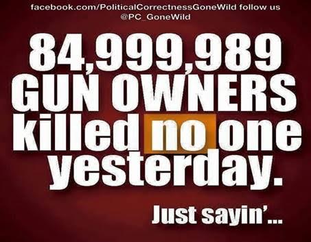 Guns legal gun owners almost never murder
