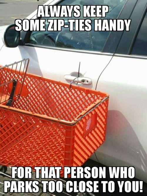 Silly zip ties parking