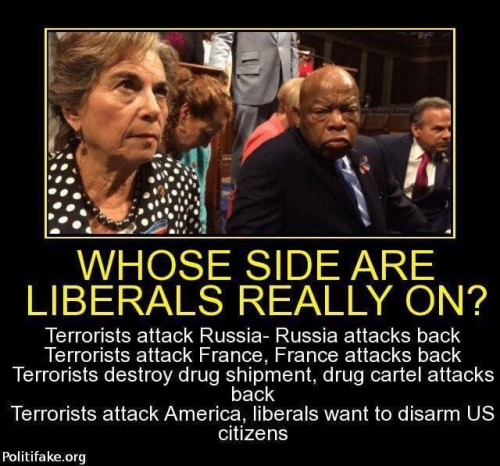 Stupid liberals disarm America for terrorists