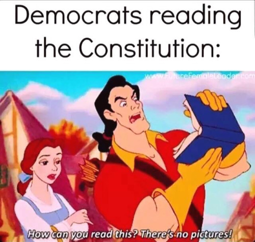 Stupid liberals reading constitution