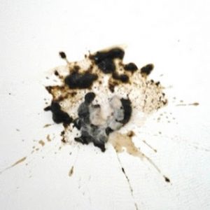 bird-poop
