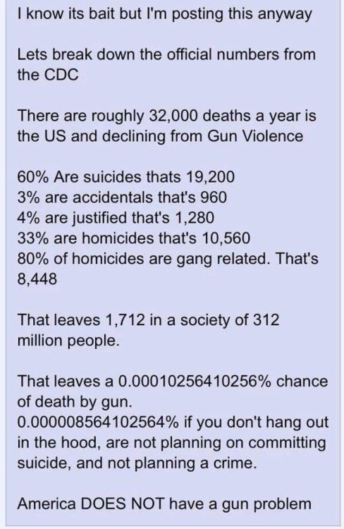 Gun America does not have gun problem