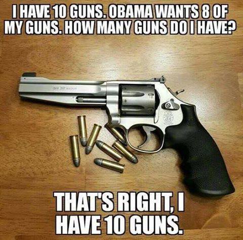 Guns government won't seize