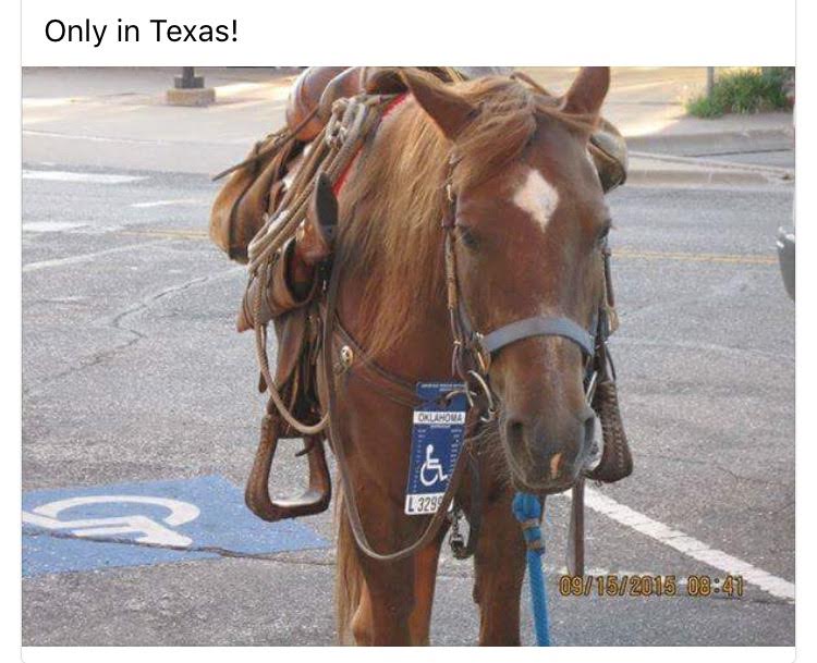Silly handicapped parking