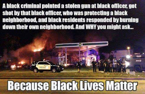 Blacks insanity of BLM protests