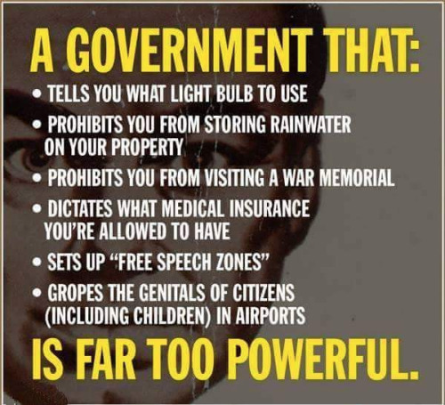 Government too powerful if it defines your life