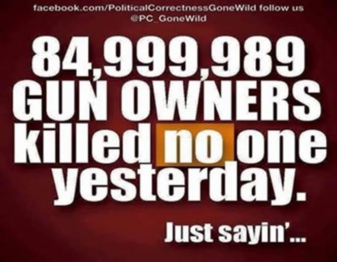 Gun legal gunowners not violent