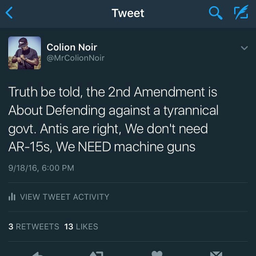 Guns Second Amendment about protesting gov