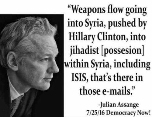 Hillary Assange on contents of Hillary's hacked emails