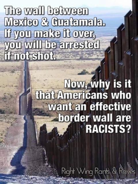 Immigration Mexico and Guatamala have a wall
